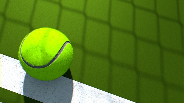 Record di titoli e classifiche di Wimbledon