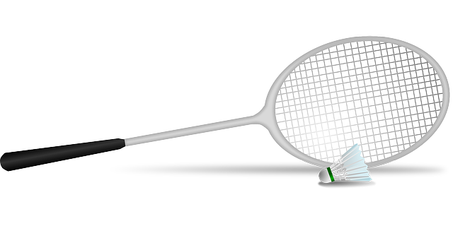 Racchetta da tennis recension