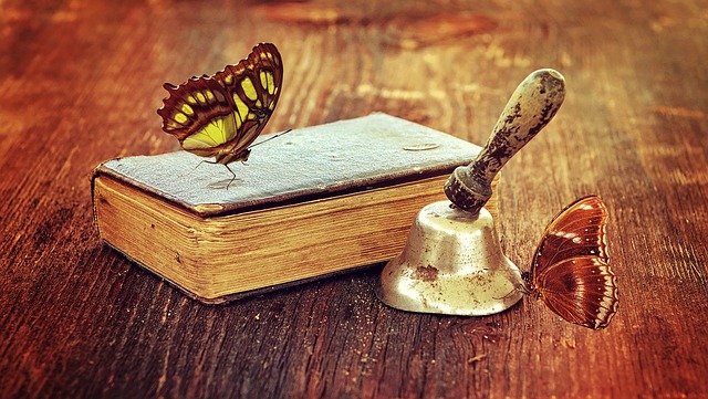 Come migliorare il tuo gioco con il tavolo da ping pong Butterfly