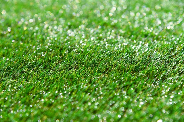 Erba artificiale per il tennis