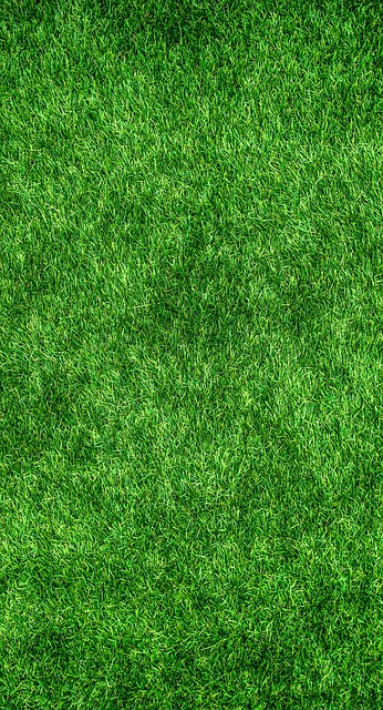 Grass Court Tennis – Strategie vincenti