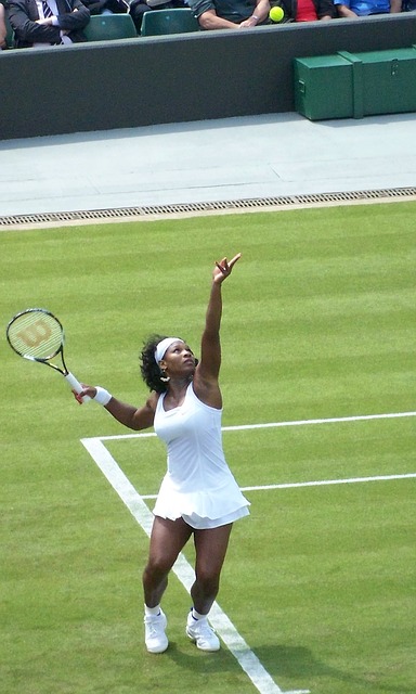 Una guida per quelli con i biglietti di Wimbledon
