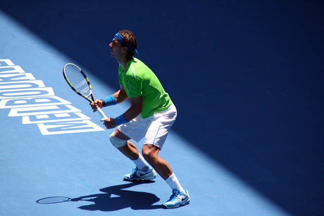 Punti culminanti del tennis 2008
