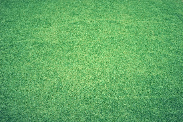 Le basi del tennis – Una guida per i clueless!