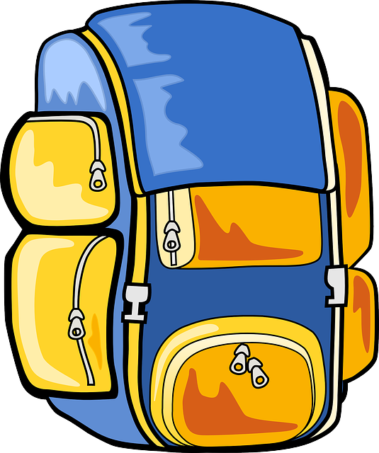 Patagonia Backpacks for Women